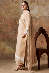 Chikankari 3D PR-528