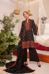 Embroidered Winter Karandi 82B