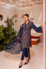 Embroidered Winter Karandi 84B